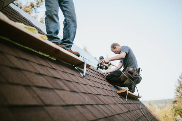 Best Roof Gutter Cleaning  in Palermo, NJ
