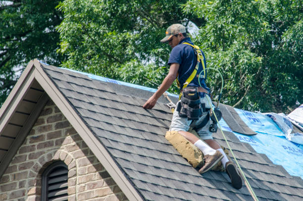 Best Gutter Installation and Roofing  in Palermo, NJ